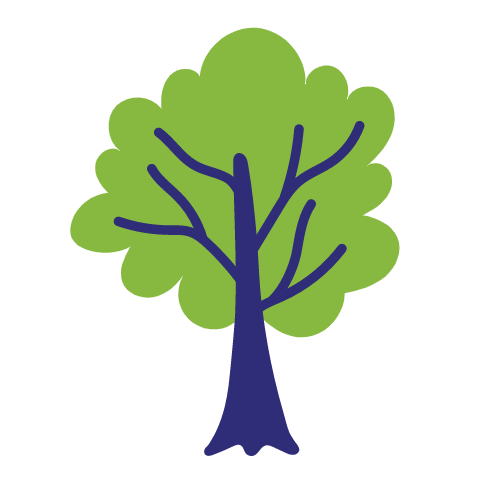 Maple Tree Illustration